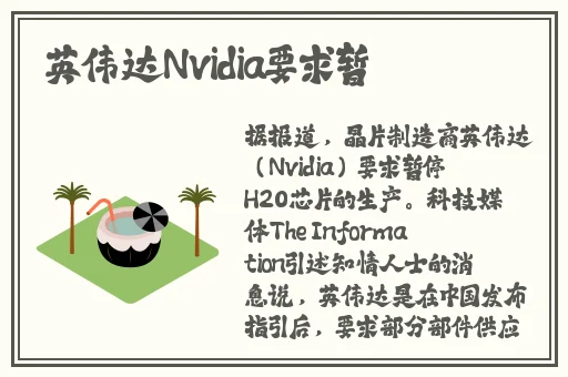 无尺码精品产品的特点